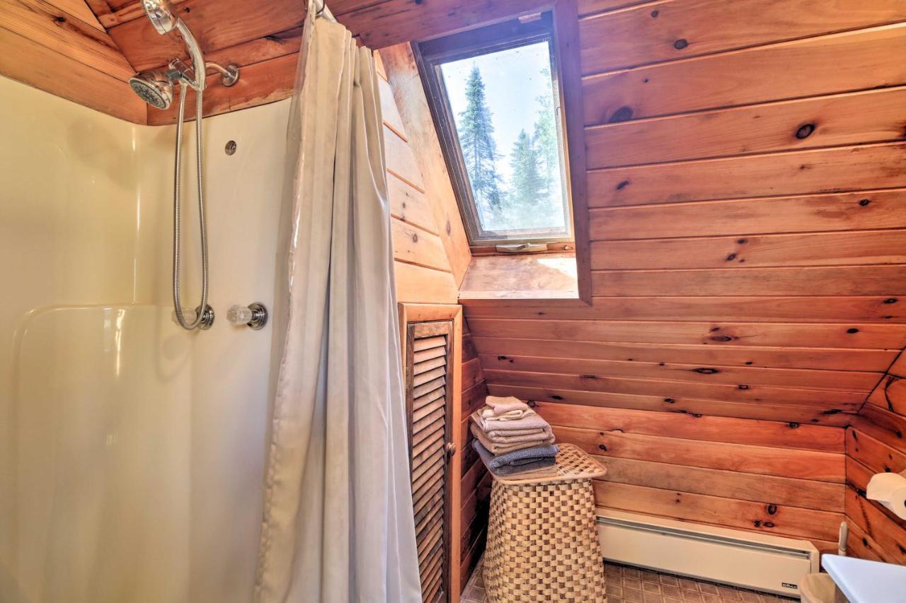 Lake Placid Chalet Deck And Forest Views! المظهر الخارجي الصورة